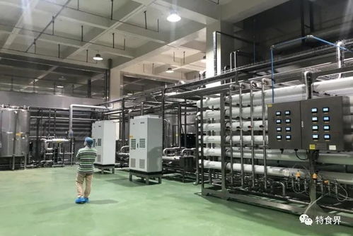 广东实现保健食品生产企业体系检查全覆盖，数据处理服务助力精准监管